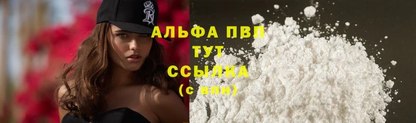 ECSTASY Липки