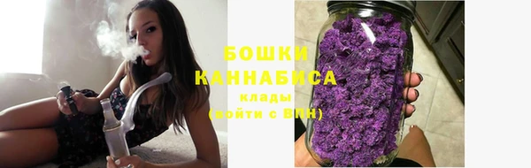 ECSTASY Липки
