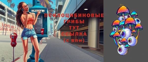 ECSTASY Липки